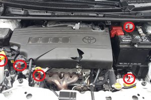 elementy z pod pokrywy silnika